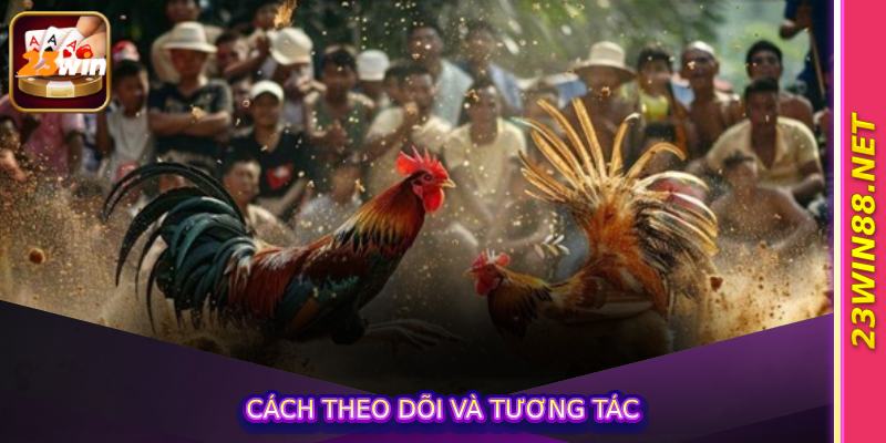 Cách theo dõi và tương tác