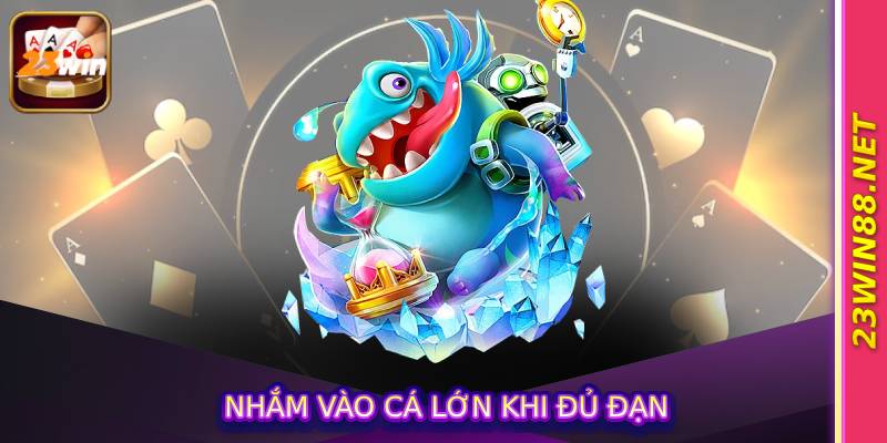 Nhắm vào cá lớn khi đủ đạn